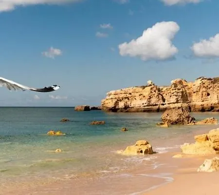 펜션 Acolhedora 371, 3 Quartos, Balaia Golf Village *